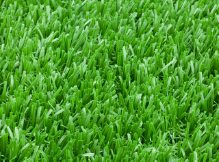 SUNLIFIELD™ Y2-X